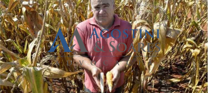 Recuperação Judicial no Agronegócio: Especialista Explica Como Sair da Crise Recuperação Judicial no Agronegócio: Especialista Explica Como Sair da Crise