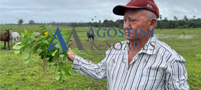 Advogado Especializado no Agronegócio – MG, MT, GO