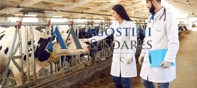 Requisitos para a certificação ambiental na pecuária? Te ajudamos!