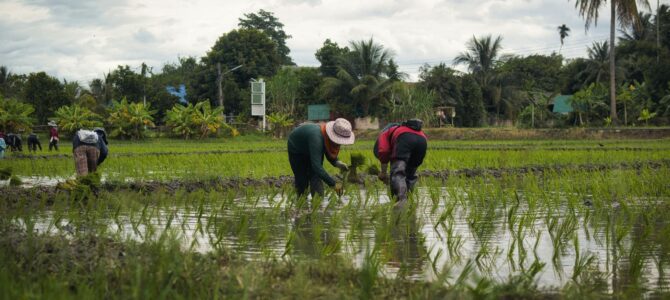 Dívida Rural em Atraso: o que fazer? Soluções para produtores rurais endividados! Dívida Rural em Atraso: o que fazer? Soluções para produtores rurais endividados!